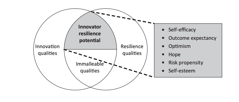 Innovator resilience potential: A process perspective of individual resilience as influenced by innovation project termination